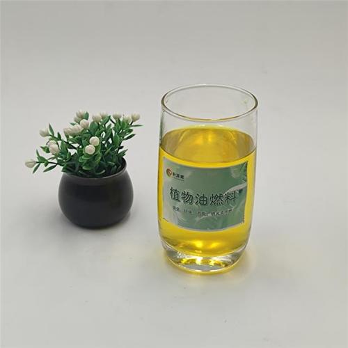 生物质液体燃料 技术路线、产业现状与未来前景
