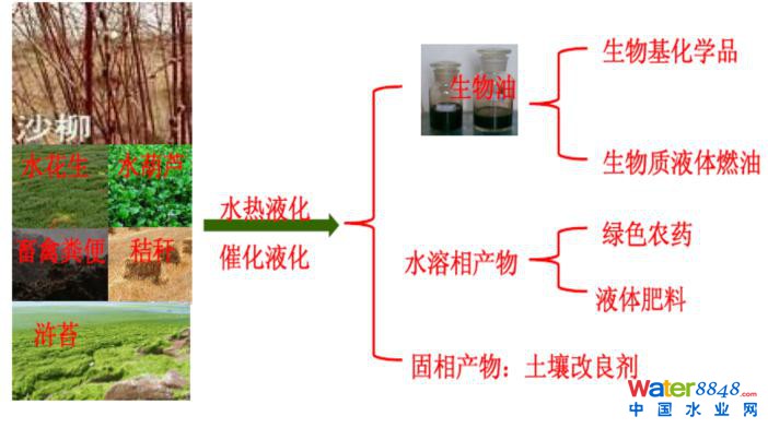 张士成 ---复旦大学环境科学与工程系 博士/教授/博导